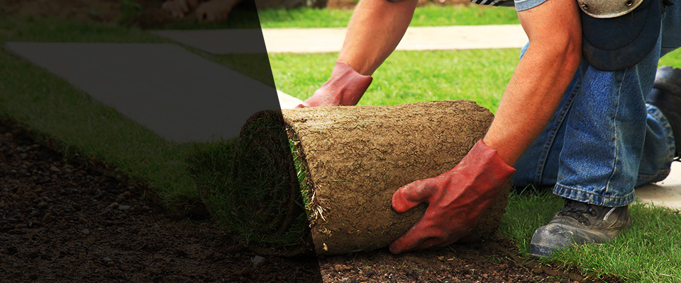 Nevada Landscapers